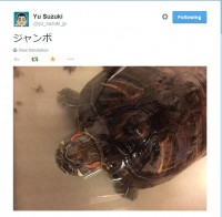 New_Suzuki_Tweet.jpg